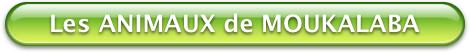 Bouton Vert Moukalaba les Animaux 470x52
