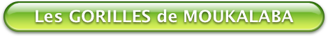 Bouton Vert Moukalaba les Gorilles 470x52