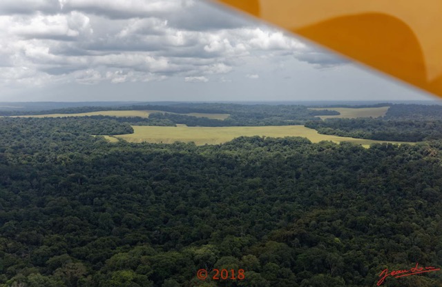 061 WONGA WONGUE 1 le Vol Survol de la Foret Savane en Vue 18E5K3IMG_180304127010_DxOwtmk.jpg