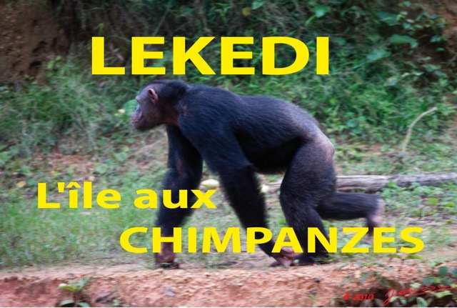 003 Titre Photos Lekedi Ile Chimpanzes.jpg