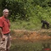 019 LEKEDI 4 Chimpanze et JLA 9E5MK2IMG_56276wtmk.jpg