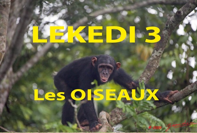 044 Titre Photos Lekedi 3 les Oiseaux.jpg