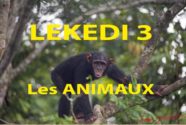 047 Titre Photos Lekedi 3 les Animaux.jpg