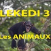 047 Titre Photos Lekedi 3 les Animaux.jpg