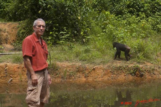 LEKEDI-4-Chimpanze-et-JLA-9E5MK2IMG_56276wtmk-Web