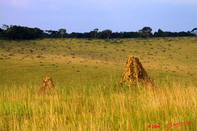 037 Plateaux Bateke 4 Savane et Termitieres 9E50IMG_30782wtmk.jpg