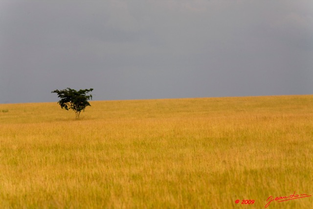 040 Plateaux Bateke 4 Savane le Soir 9E5IMG_28565wtmk.jpg