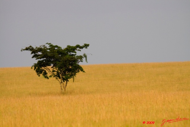 041 Plateaux Bateke 4 Savane et Orage 9E50IMG_30815wtmk.jpg