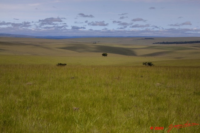 048 Plateaux Bateke 6 Savane 9E5K2IMG_53403wtmk.jpg