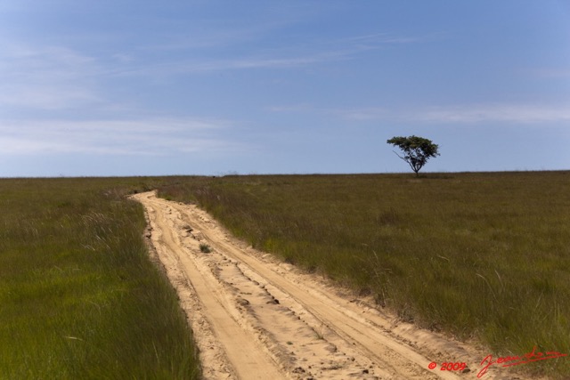 056 Plateaux Bateke 6 Savane et Piste 9E5K2IMG_53397wtmk.jpg