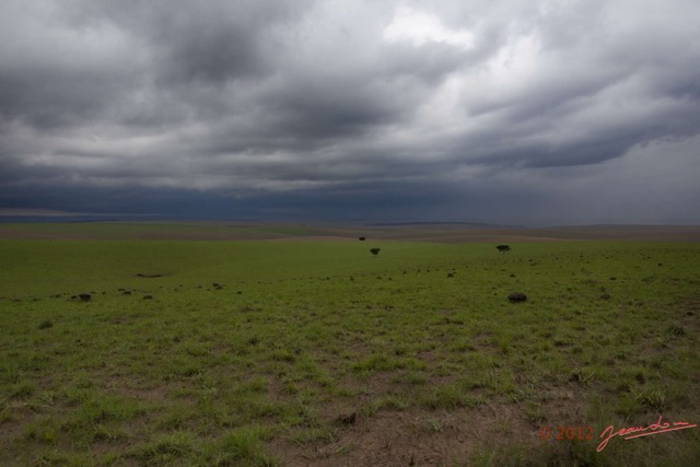 030 SPB 8 Savane et Orage 12E5K2IMG_76480wtmk.jpg