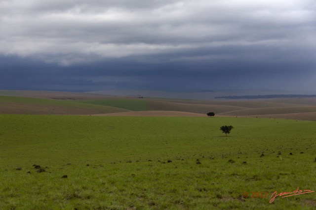 031 SPB 8 Savane et Orage 12E5K2IMG_76482wtmk.jpg