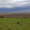 032 SPB 8 Savane Termitiere et Orage 12E5K2IMG_76489wtmk.jpg