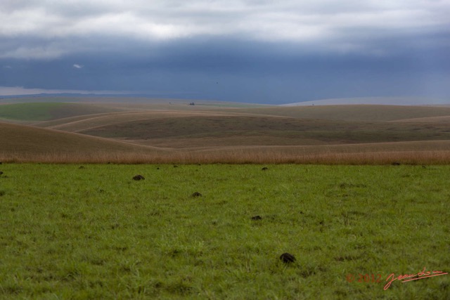034 SPB 8 Savane et Orage 12E5K2IMG_76493wtmk.jpg