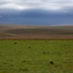 034 SPB 8 Savane et Orage 12E5K2IMG_76493wtmk.jpg