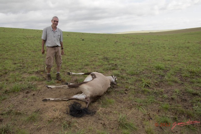 019 SPB 9 Cadavre Oryx gazella et JLA 12E5K3IMG_90538wtmk.jpg