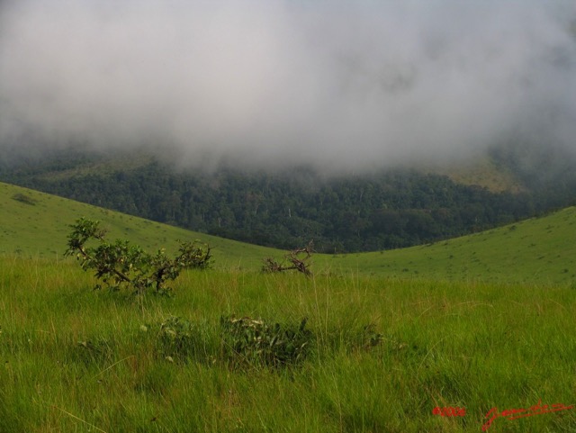 011 Pic de BELE 1 Savane avec Nuages IMG_1920WTMK.jpg
