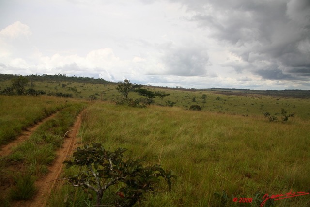 003 Pic de BELE 2 Savane et Piste 8EIMG_15086WTMK.jpg