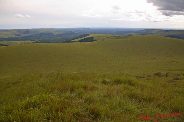 014 Pic de BELE 2 Savane 8EIMG_15160wtmk.JPG