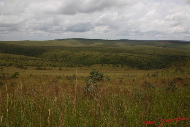 016 Pic de BELE 2 Savane 8EIMG_15314WTMK.JPG