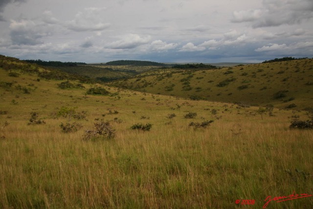 017 Pic de BELE 2 Savane Arbustive 8EIMG_15120WTMK.JPG