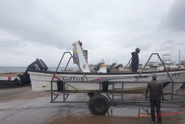 002 BALEINES 2 Michel Marine le Depart 15E5K3IMG_108250wtmk.jpg