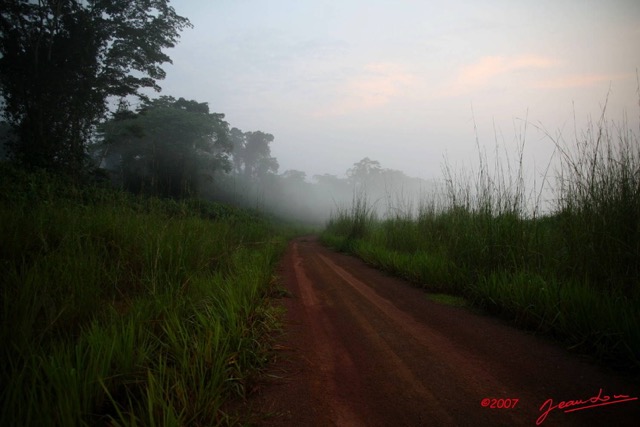 080 KONGOU 1 Piste Makokou-Okondja Brume du soir IMG_3007WTMK.JPG