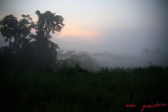 081 KONGOU 1 Piste Makokou-Okondja Brume du soir IMG_3010WTMK.JPG
