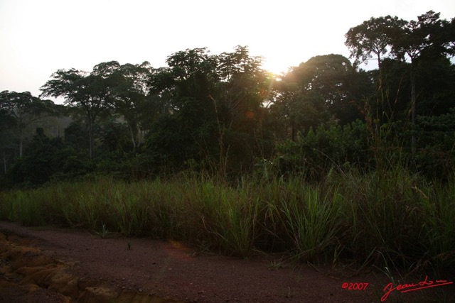 083 KONGOU 1 Piste Makokou-Okondja Foret et Coucher de Soleil IMG_2998WTMK.JPG