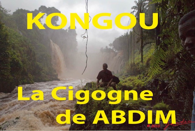 028 Titre Photos Kongou Cigogne.jpg