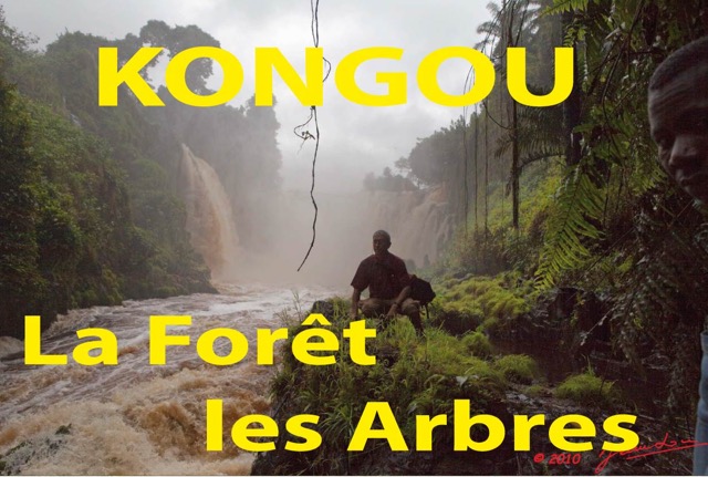 091 Titre Photos Kongou Arbres.jpg