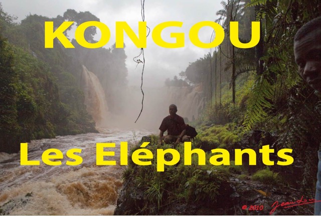 190 Titre Photos Kongou Elephants.jpg