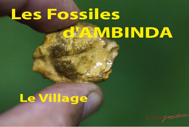 006 Titre Photos Fossiles Ambinda le Village-01.jpg
