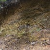 041 AMBINDA les Fossiles les Strates 13E5K3IMG_94077wtmk.jpg