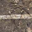 036 MOULENDE Gres et Strate de Quartz 12E5K2IMG_74052wtmk.jpg