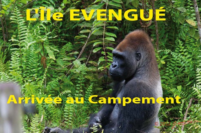 013 Titre Photos Evengue Arrivee-01.jpg