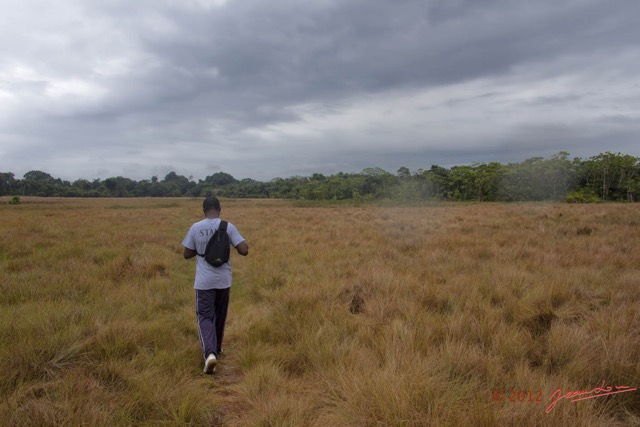 023 LOANGO EVENGUE Marche dans la Savane 12E5K2IMG_78066wtmk.jpg