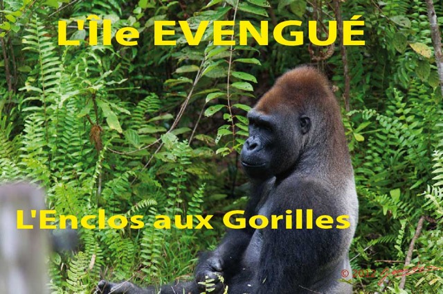 025 Titre Photos Evengue Enclos-01.jpg