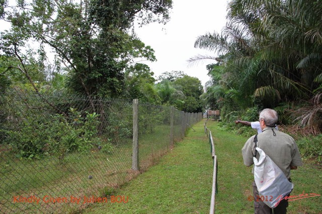 026 Loango Evengue JLA aux Enclos IMG_103686awtmk.jpg