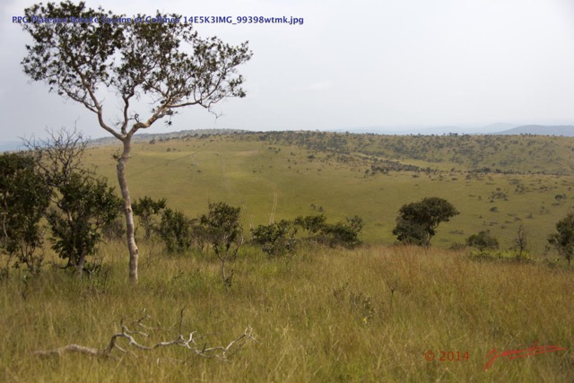 050 PPG Plateaux Bateke Savane et Collines 14E5K3IMG_99398wtmk.jpg