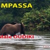 068 Titre Photo Mpassa Male Oudiki-01.jpg