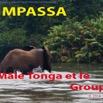 093 Titre Photo Mpassa Tonga et Groupe 1-01.jpg