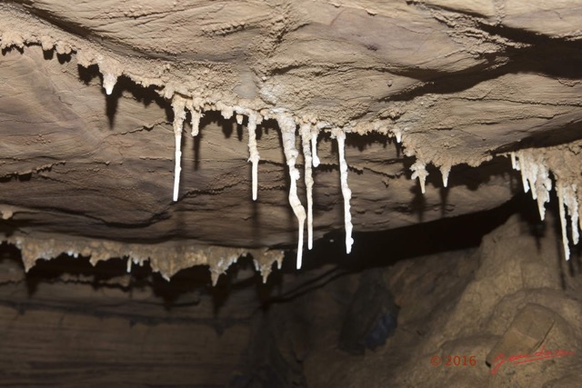 094 BOUKAMA la Grotte Cavite 2 Plafond avec Fistuleuses 16E5K3IMG_120073wtmk.jpg