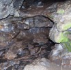 043 BATOUALA la Grotte Entree et Guano de Chauves-Souris 12E5K2IMG_75760wtmk.jpg