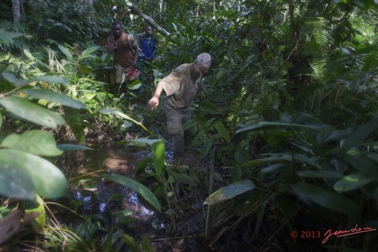 MINKEBE Inselberg Foret JLA Passant un Marigot avec la Boue aux Genoux 13E5K3IMG_92588wtmk