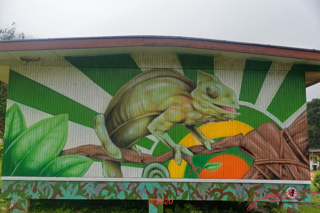035 KINGUELE 02 le Village le Matin un Logement Decoration avec un Cameleon 20E5DIMG_201004154666_DxOwtmk 150k.jpg