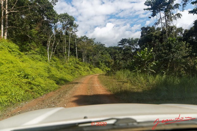 065 KINGUELE 02 Piste vers Tchimbele et Vegetation 20E5DIMG_201004154585_DxOwtmk 150k.jpg