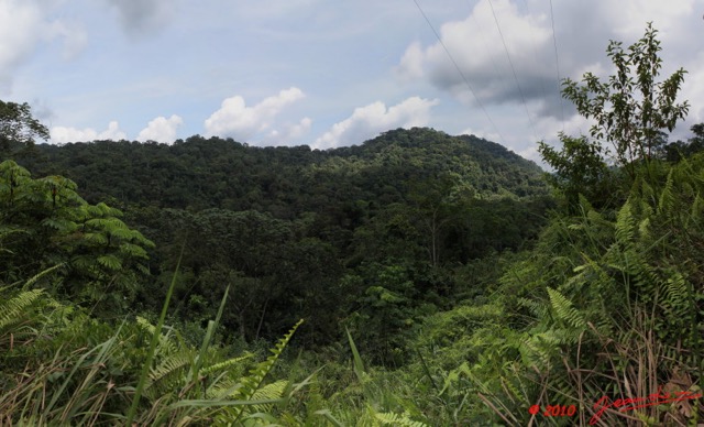 020 Monts de Cristal Foret Pano 1awtmk.jpg