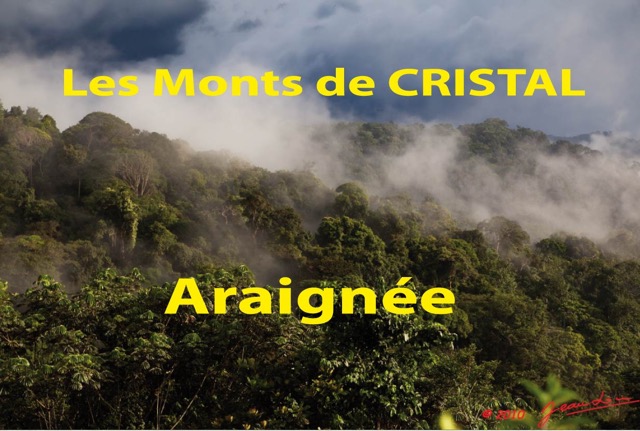 064 Titre Photos Cristal Araignee.jpg