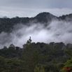 075 Monts de Cristal Foret et Nuages 10E5K2IMG_59059wtmk.jpg